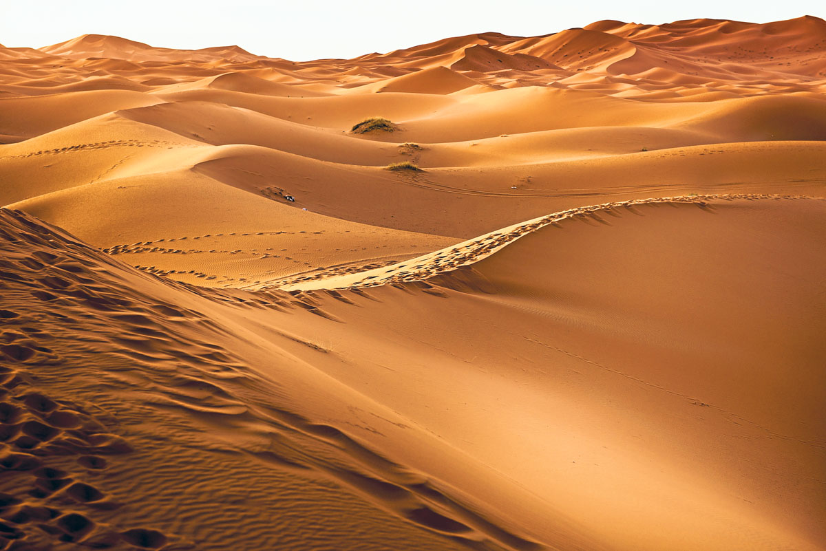 Im Überfluss vorhanden, aber zu fein und zu glatt: Wüstensand kam bisher für die Betonherstellung nicht in Frage.   (Foto: Pixabay)